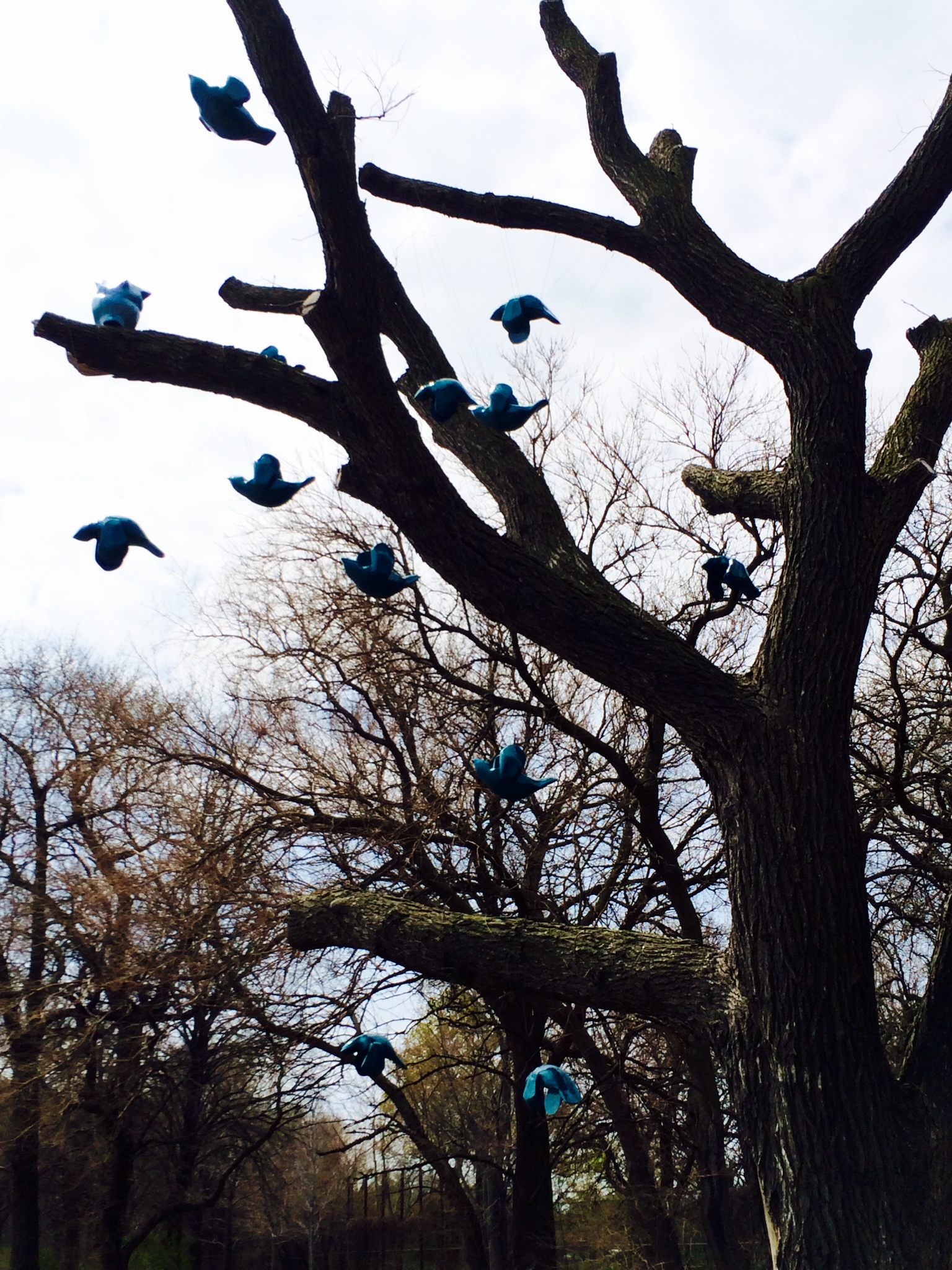 Flock” by Margot McMahon, which is currently on display in Jackson Park- (Photo by Carolyn Bendel)